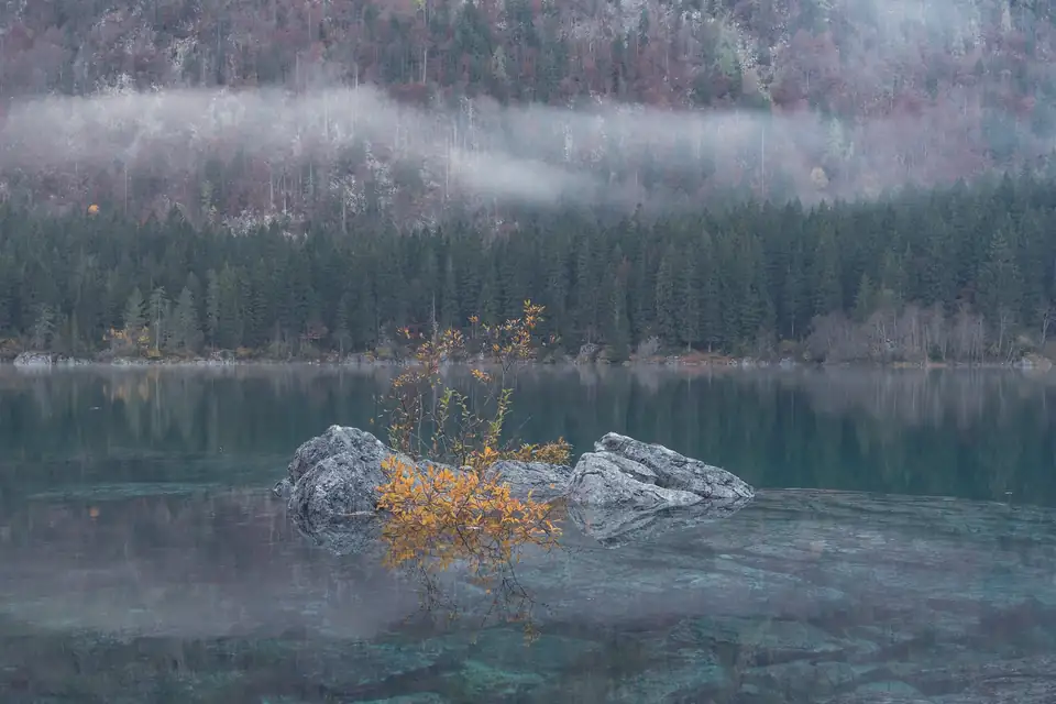 Il lago di Fusine con gli abeti sulla riva e una fascia di nebbia sul versante della montagna.