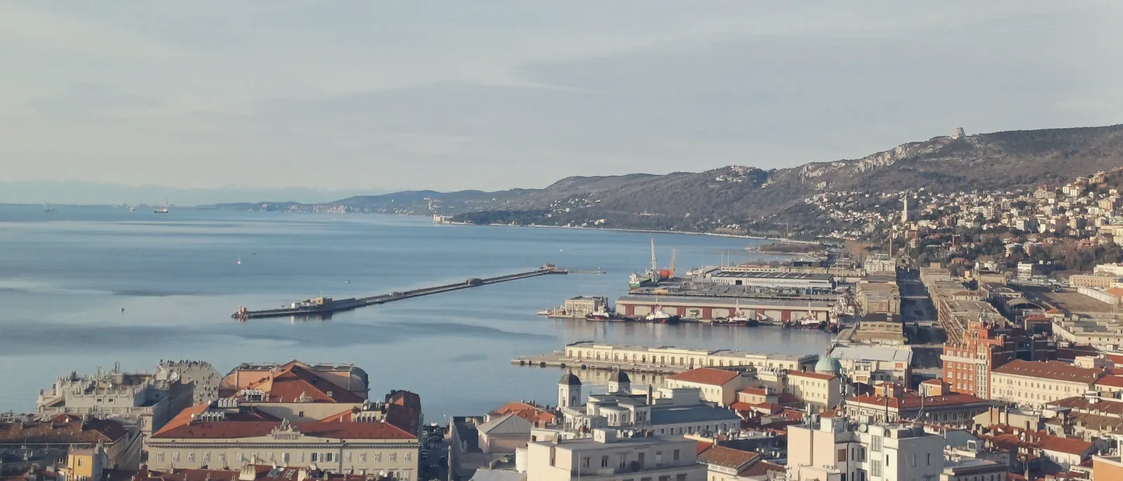 Trieste vista dall'alto con il porto e il golfo aperto fino all'orizzonte.