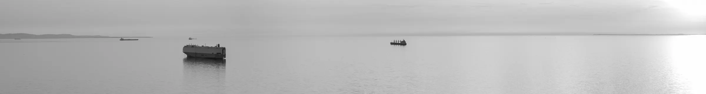 Una striscia di mare del golfo di Trieste in bianco e nero, con due navi alla fonda e la costa bassa all'orizzonte.