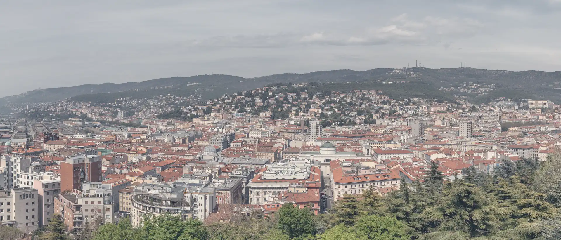 I tetti rossi del centro di Trieste visti dall'alto, con le colline del Carso sullo sfondo e alberi in primo piano.